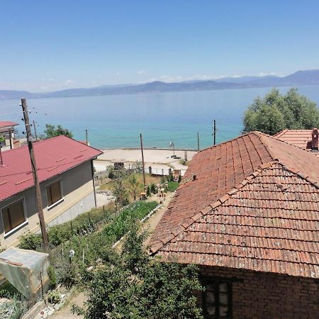 Villa Shine Struga Dış mekan fotoğraf