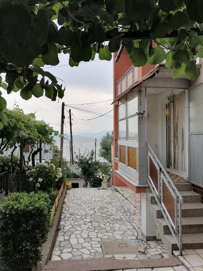 Villa Shine Struga Dış mekan fotoğraf