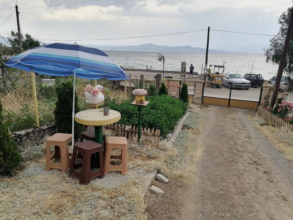 Villa Shine Struga Dış mekan fotoğraf